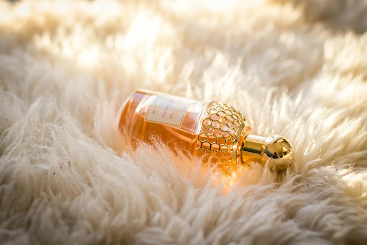 Case Studies in Customized Fragrance Experiences for Affluent Consumers